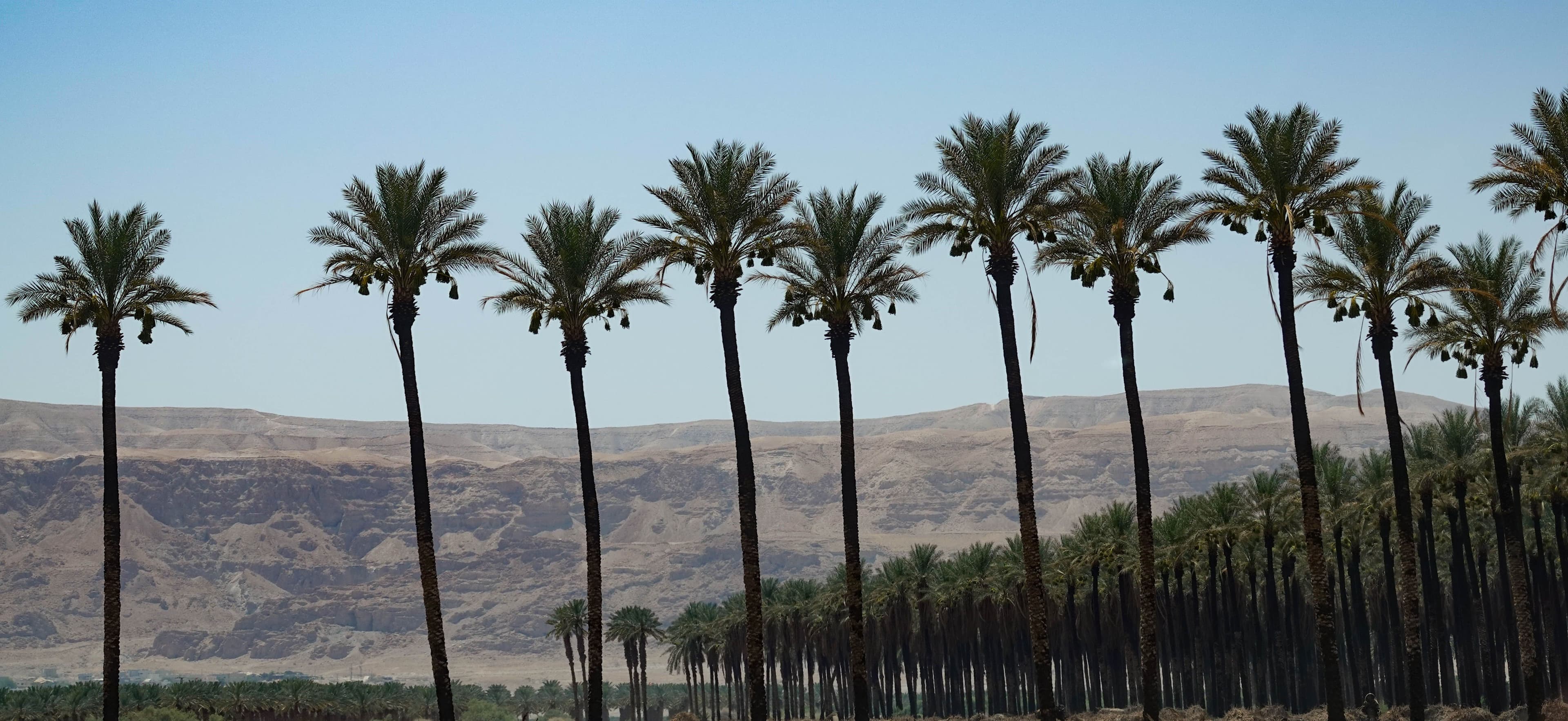 Judean wilderness & Dead Sea and Jericho